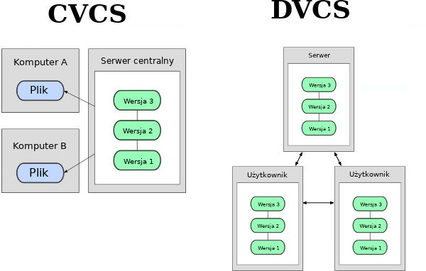 CVCS vs DVCS